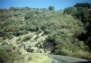 Sierra National Forest | Fresno